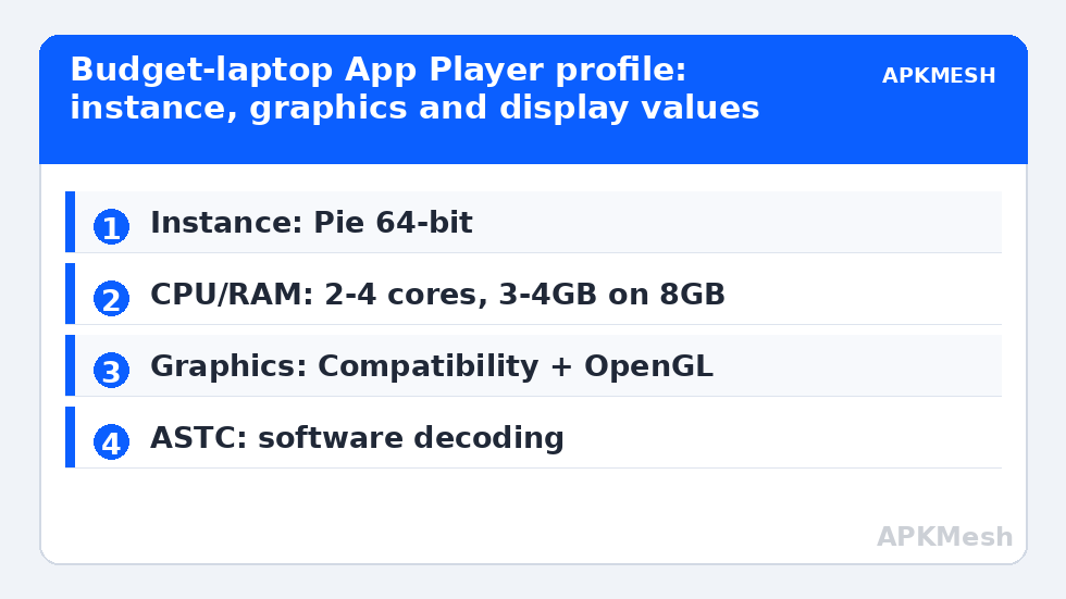 Budget-laptop App Player profile: instance, graphics and display values